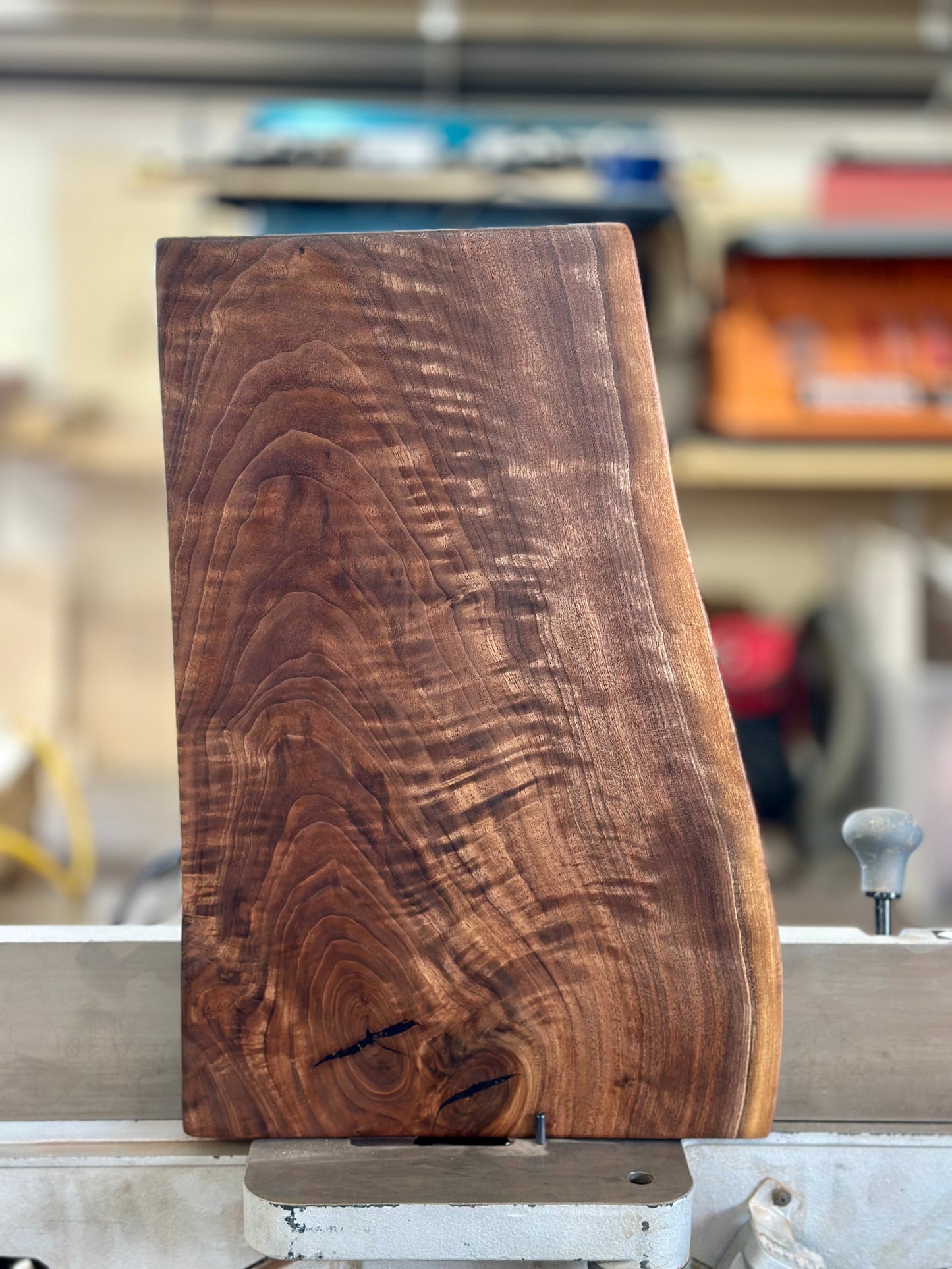 Oregon Black Walnut Charcuterie Board #5