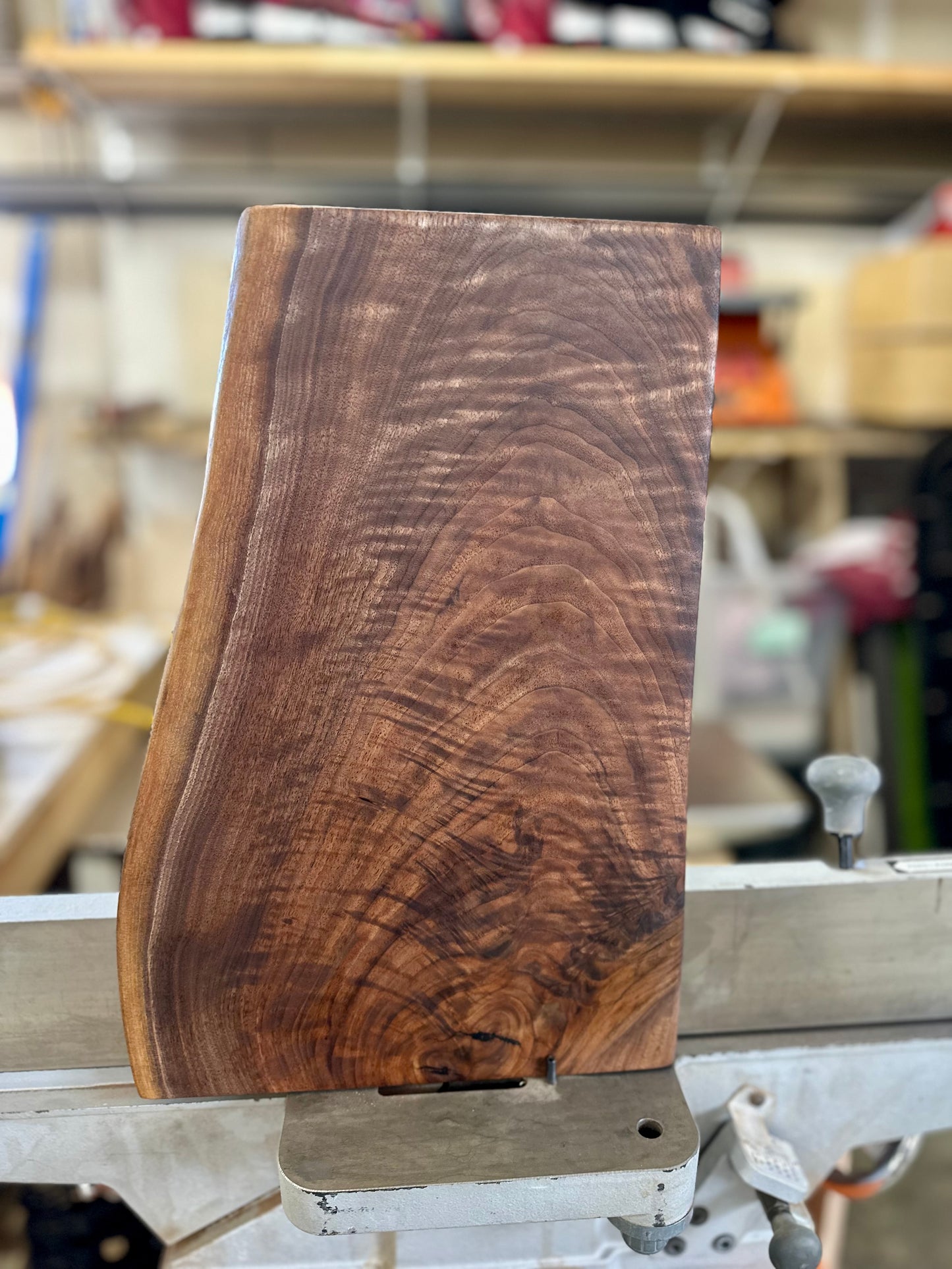 Oregon Black Walnut Charcuterie Board #5