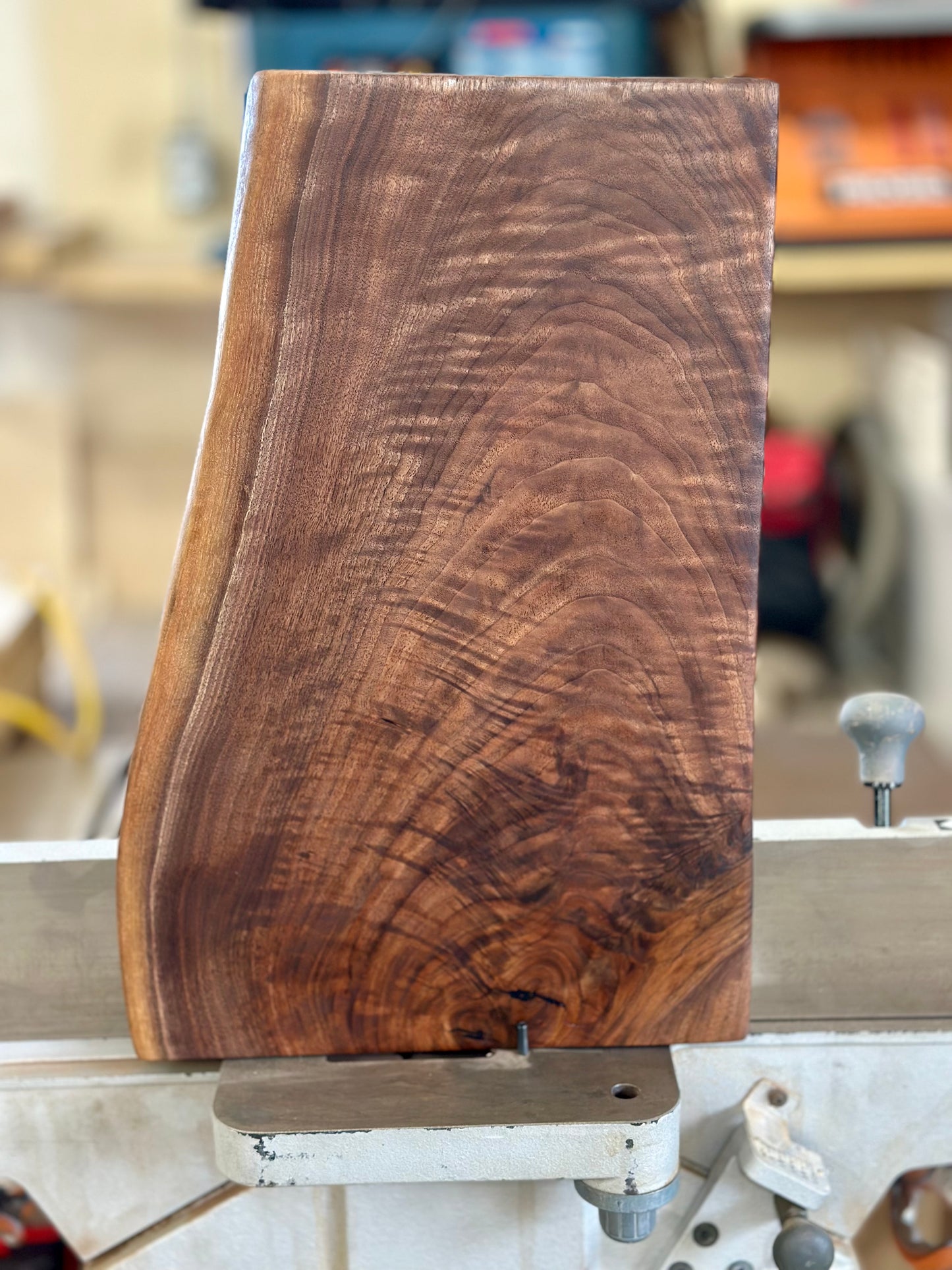 Oregon Black Walnut Charcuterie Board #5